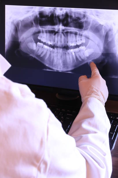 Best Emergency X-Rays and Diagnostics in Aho Falls, ID